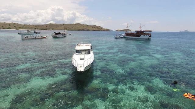 Malao